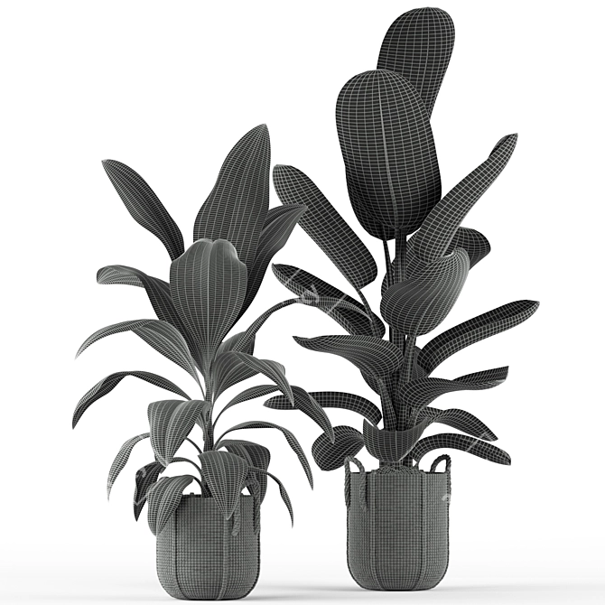 Tropical Oasis: Plant Collection 3D model image 5