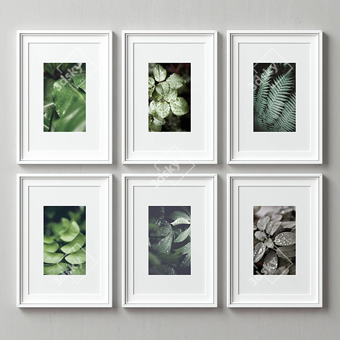Versatile Picture Frames Set 3D model image 1
