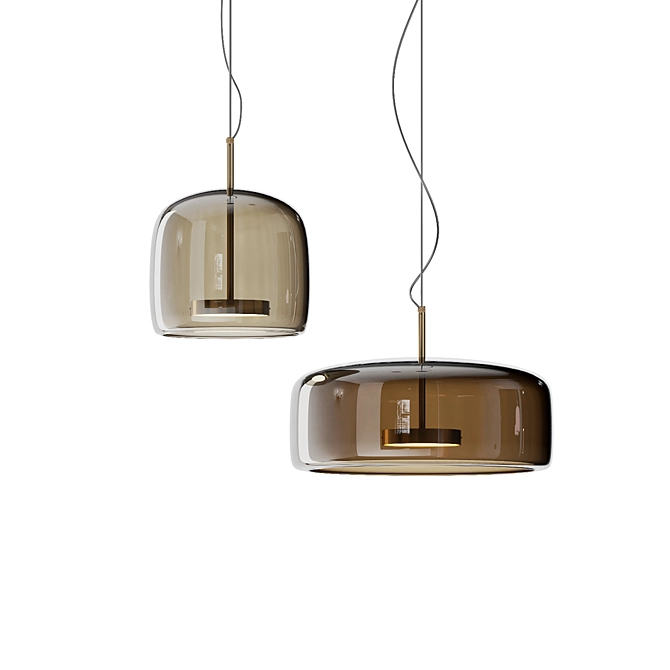Dauphin Glass Pendant Lamp With LED Light 3D model image 1