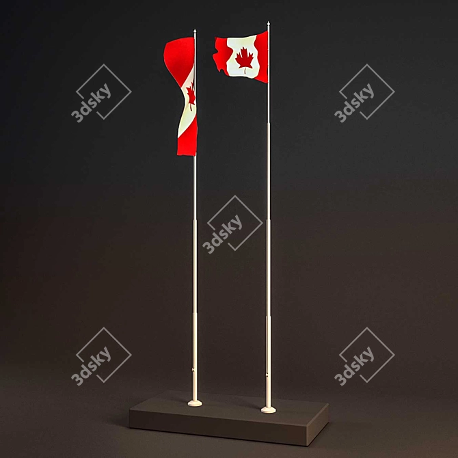 Dynamic Low Poly Animated Flag 3D model image 2