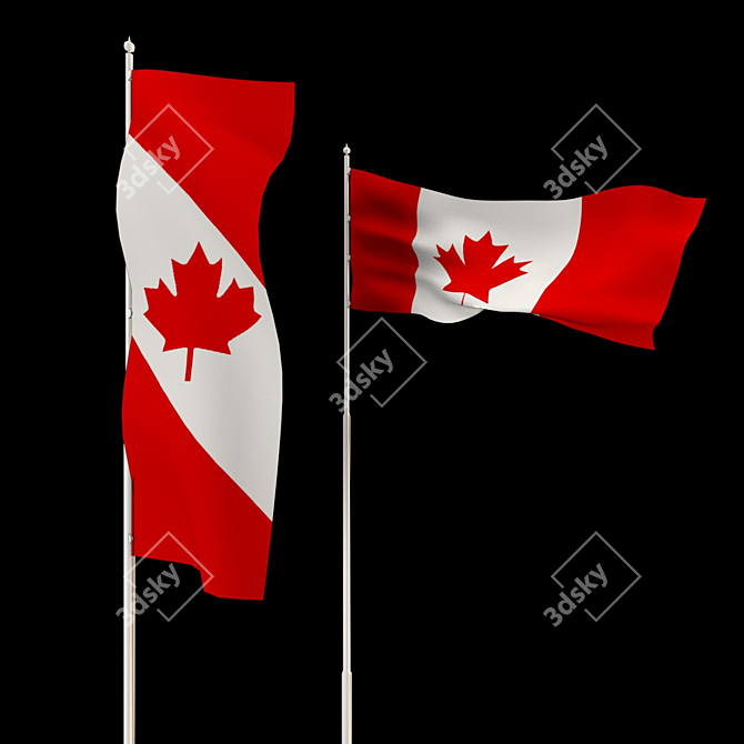 Dynamic Low Poly Animated Flag 3D model image 3