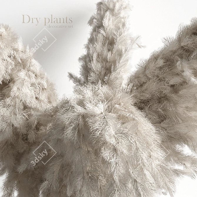 Botanical Bliss: Dry Plant Decor Set 3D model image 3