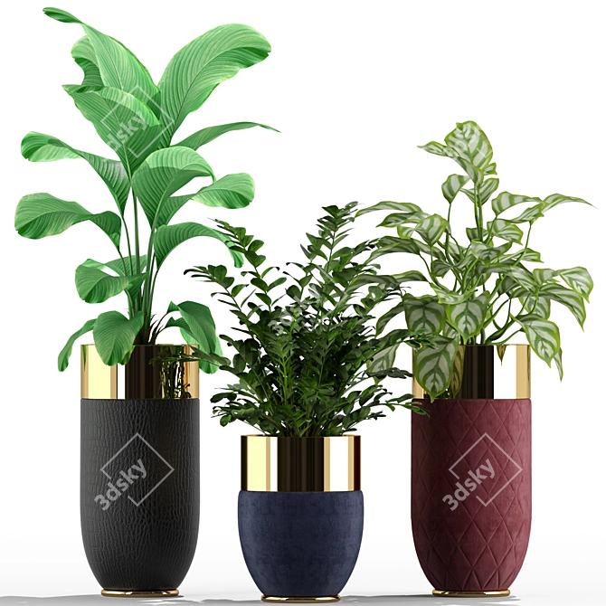 233 Longhi Godwin Plant Collection 3D model image 2