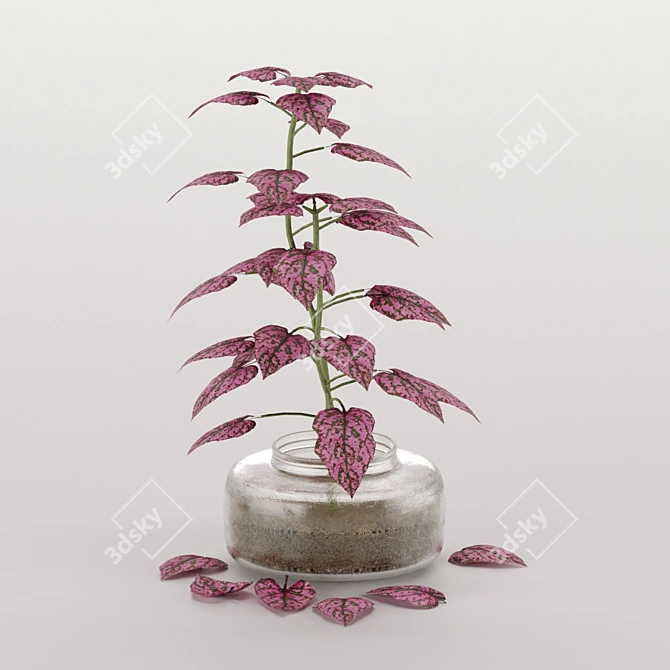 Exotic Blooms from Mediterranean Islands 3D model image 10