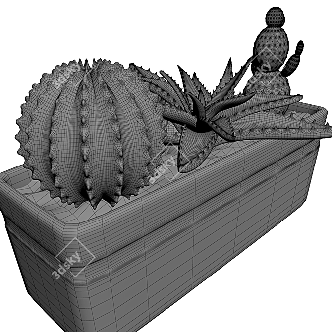 Title: Mini Cacti Pot: Tabletop Succulent Display 3D model image 3
