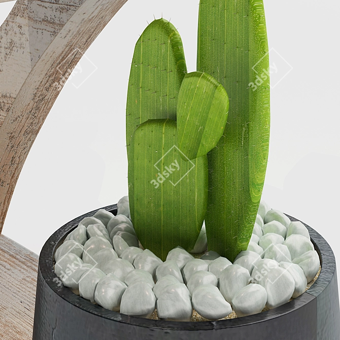 Desert Serenity: Cactus in Stone Pots 3D model image 2