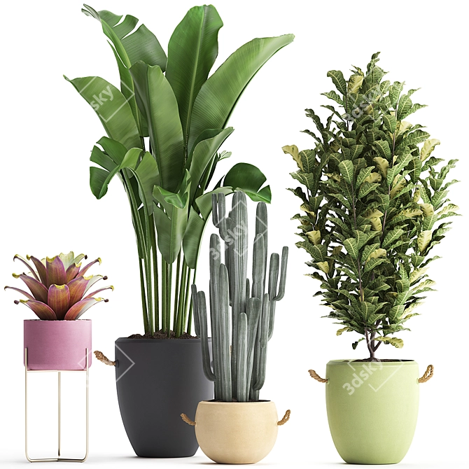 Exotic Houseplant Collection 3D model image 1