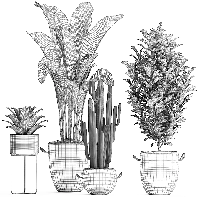 Exotic Houseplant Collection 3D model image 4