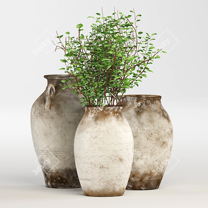 Earthenware Jug Set: 3D MAX 2015, OBJ 3D model image 2
