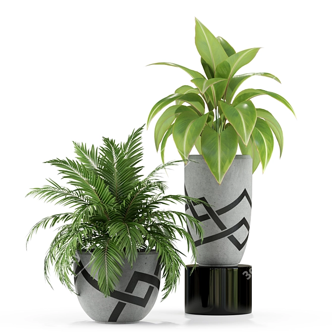 Exquisite Plants Set 236 3D model image 2