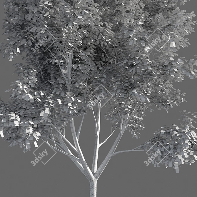 Variations of Trees (Summer-Autumn) 3D model image 5