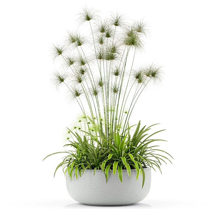 Botanical Bliss: Stunning Plant Collection 3D model image 2