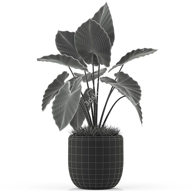 Botanical Bliss: Stunning Plant Collection 3D model image 5