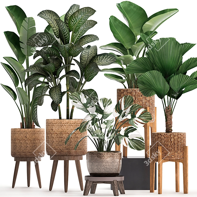 Exotic Plant Collection 3D model image 1