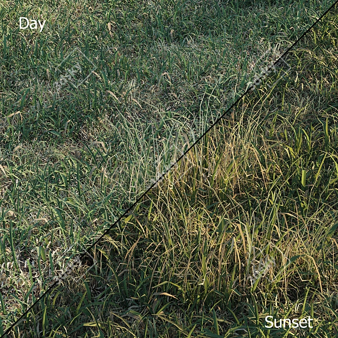 Spring Meadow Grass | Scattered Preview 3D model image 3