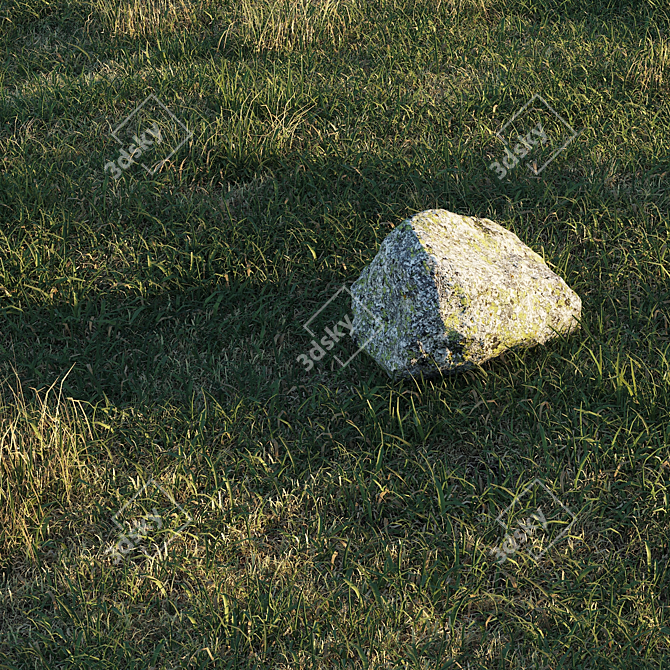 Spring Meadow Grass | Scattered Preview 3D model image 4