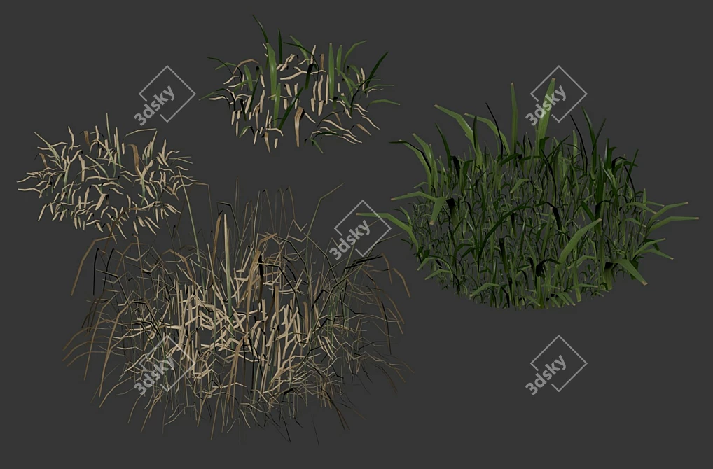 Spring Meadow Grass | Scattered Preview 3D model image 5