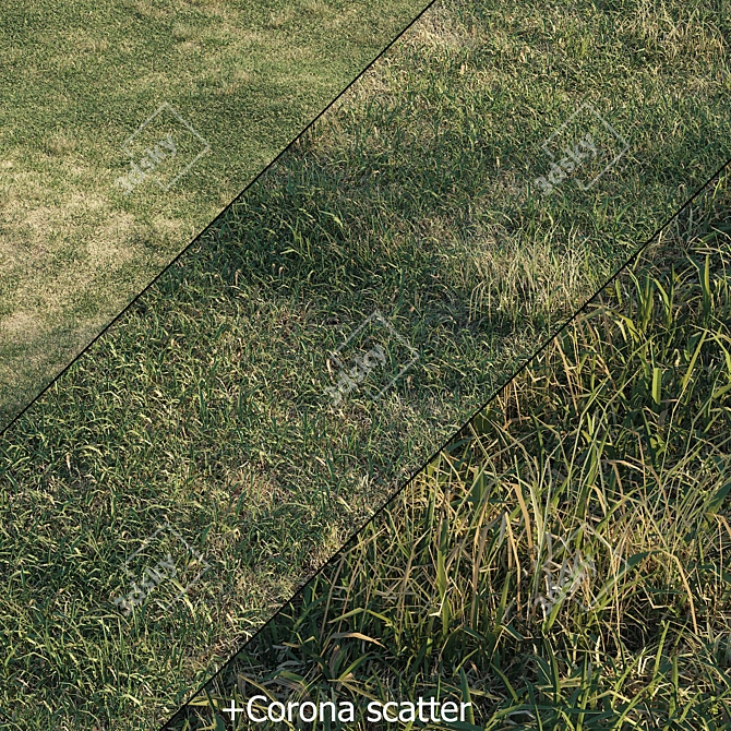 Spring Meadow Grass | Scattered Preview 3D model image 6