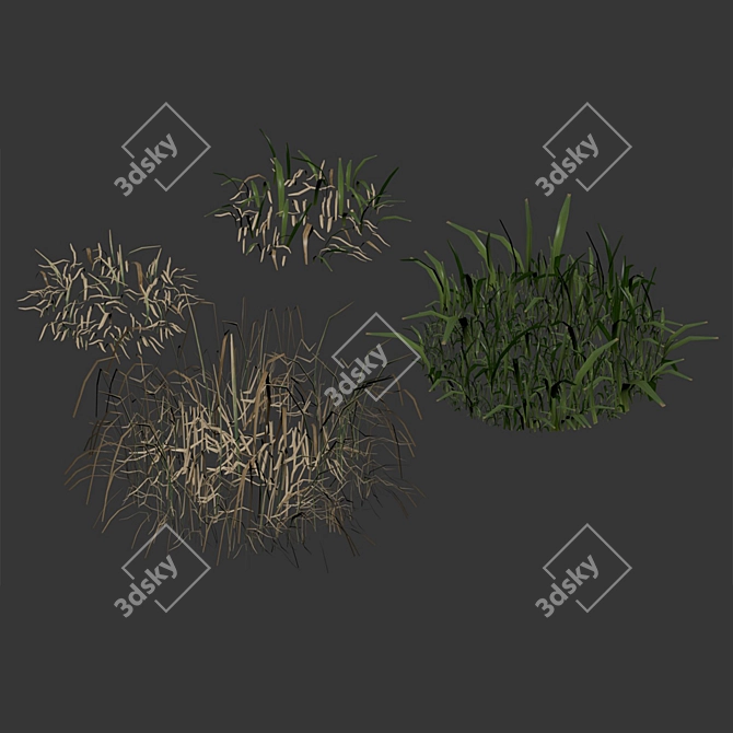 Spring Meadow Grass | Scattered Preview 3D model image 7