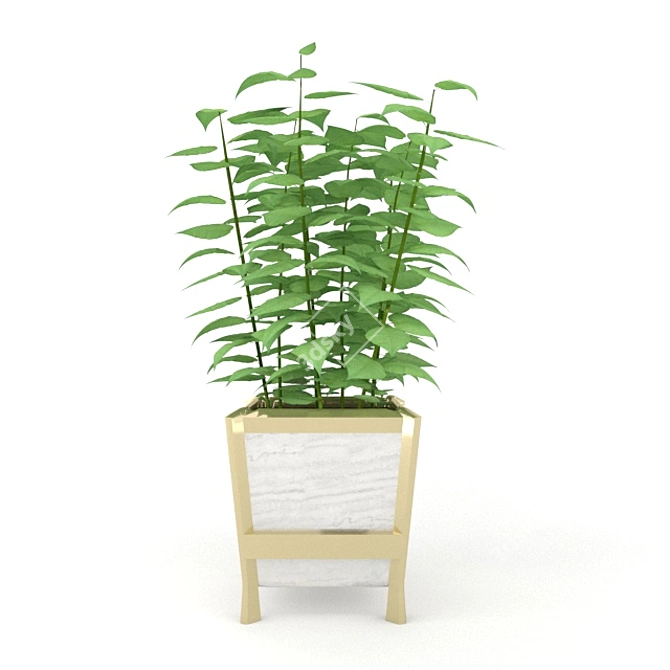 Lush Foliage Plant - 170k+ Polys! 3D model image 2