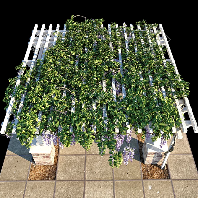 Title: Wisteria Pergola: Subtropical Elegance 3D model image 3