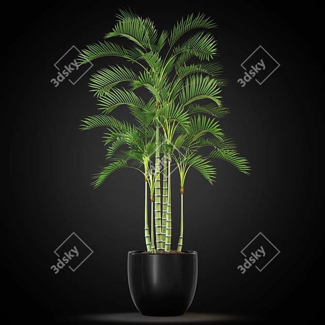 Green Oasis: 263 Unique Plants 3D model image 2
