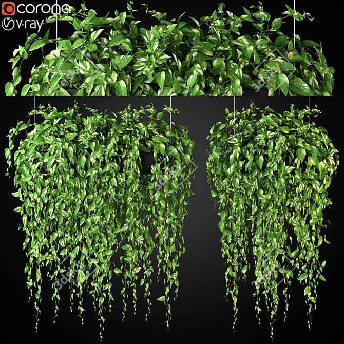 265 Plant Collection: Variety and Beauty 3D model image 1