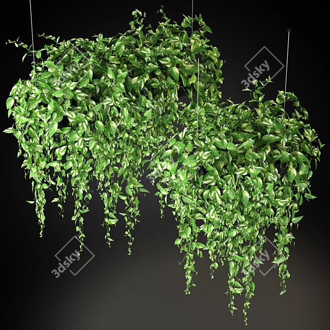 265 Plant Collection: Variety and Beauty 3D model image 2