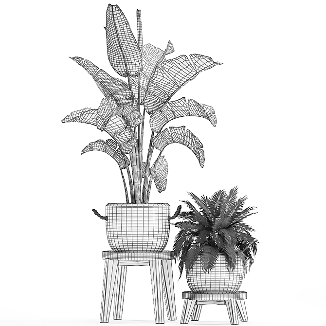 Exotic Houseplant Collection 3D model image 5
