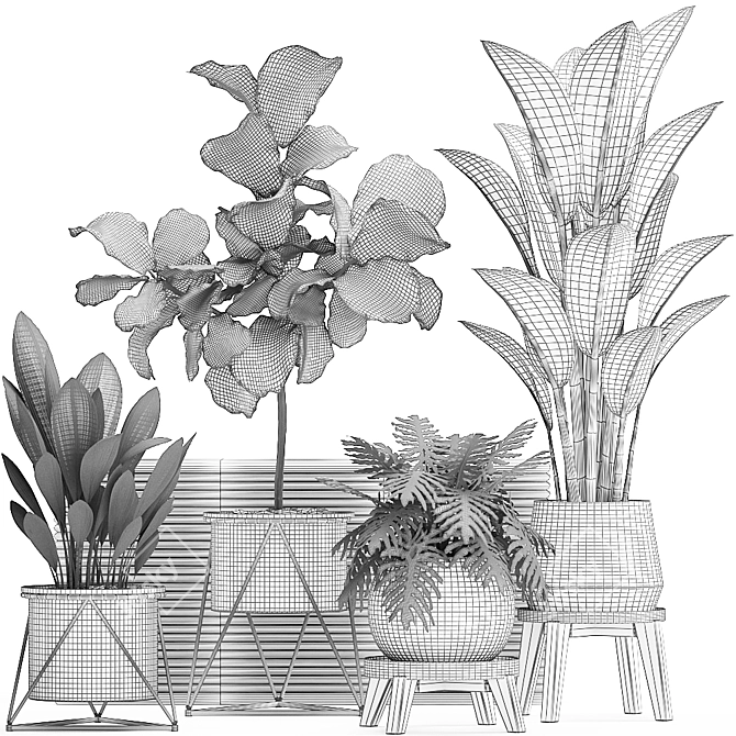 Exotic Indoor Plant Collection 3D model image 4