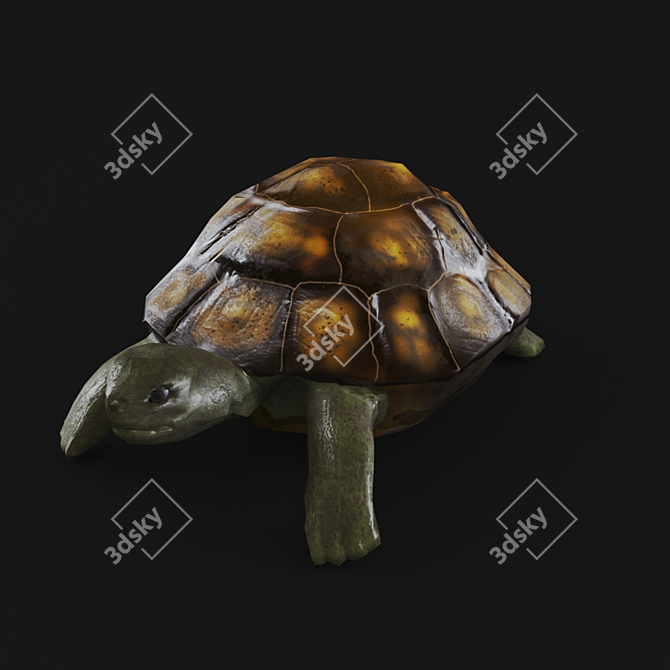 Title: Turtle 3D Model with UVW Mapping+Textures 3D model image 1
