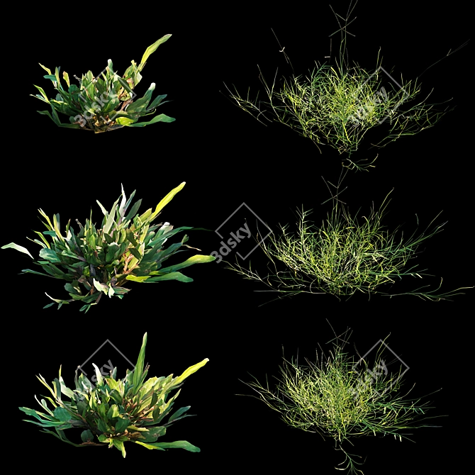 Lush Green Grass Set 3D model image 4