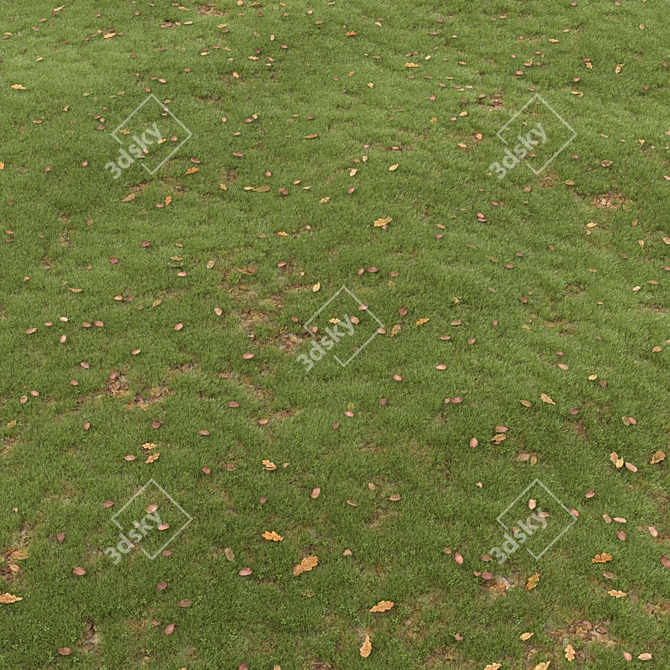 Leafy Greens Lawn: A Verdant Oasis 3D model image 1