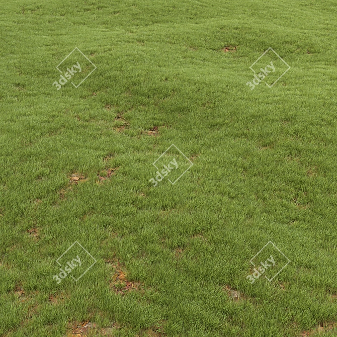 Leafy Greens Lawn: A Verdant Oasis 3D model image 2