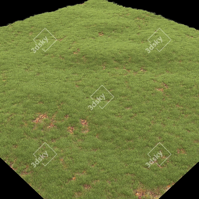 Leafy Greens Lawn: A Verdant Oasis 3D model image 4