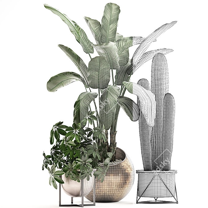 Exotic Houseplant Collection 3D model image 3