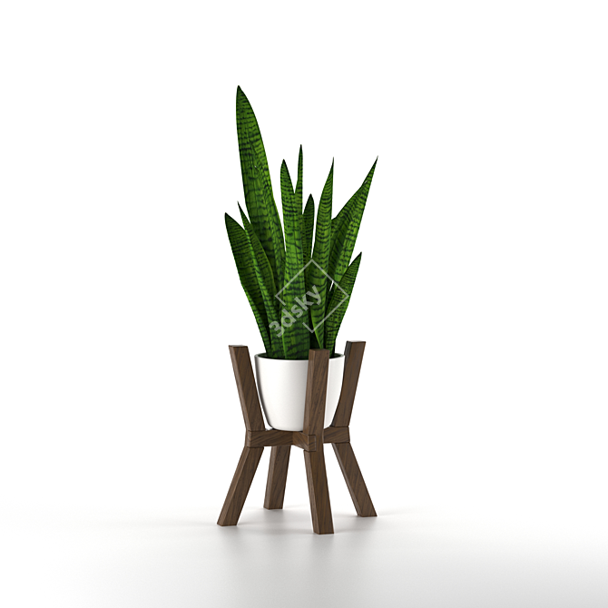 Modern Sansevieria Plant: 3D Model for 3Ds Max 3D model image 6