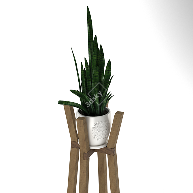 Modern Sansevieria Plant: 3D Model for 3Ds Max 3D model image 8