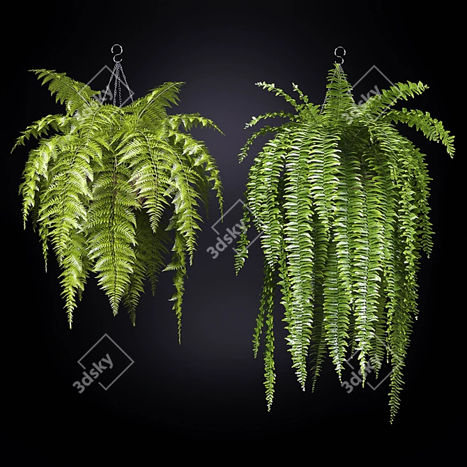 Sleek 2-Piece Fern Chair 3D model image 1