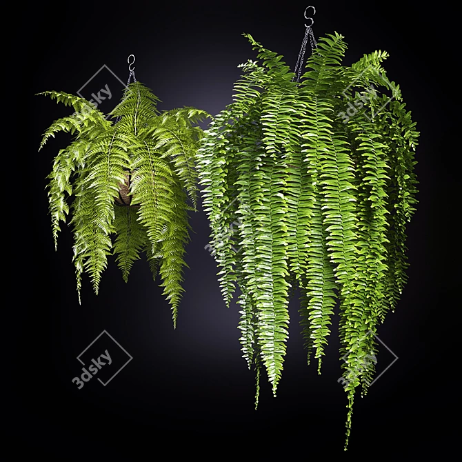 Sleek 2-Piece Fern Chair 3D model image 2