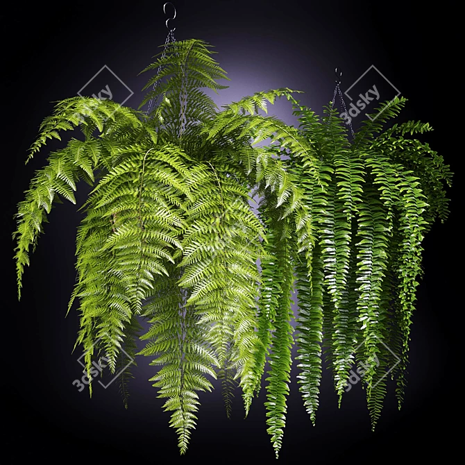 Sleek 2-Piece Fern Chair 3D model image 3