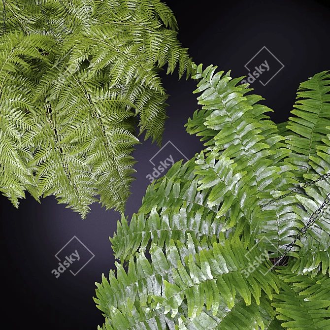 Sleek 2-Piece Fern Chair 3D model image 4