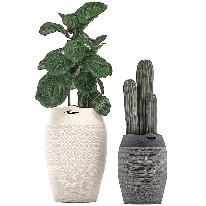 Tropical Plant Collection in Fabric Baskets 3D model image 3