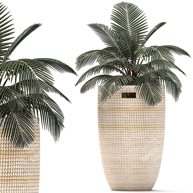 Tropical Plant Collection: Exotic & Decorative in Baskets 3D model image 3