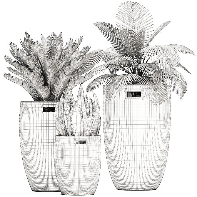 Tropical Plant Collection: Exotic & Decorative in Baskets 3D model image 5