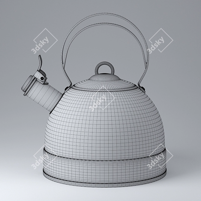 Versatile Stovetop Kettle 3D model image 3