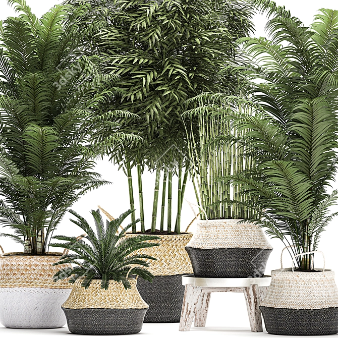 Tropical Plant Collection in Rattan Basket 3D model image 2