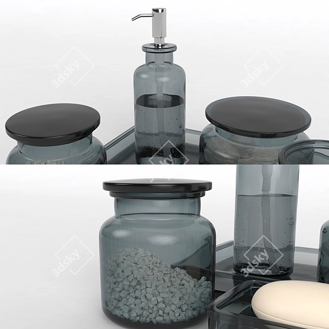 Pharmacy Smoke Glass Bath Accessories 3D model image 3