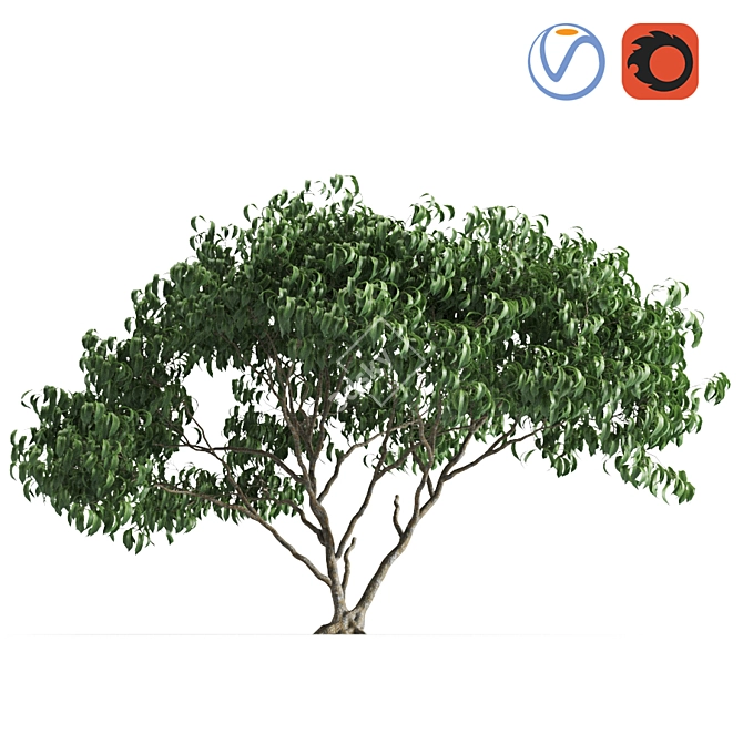 Leafy 58E Urban Plant 3D model image 3