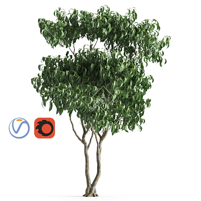 Versatile Leafy Green: Plant 58H 3D model image 3